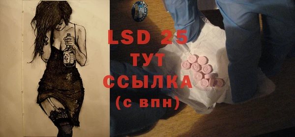 spice Бородино