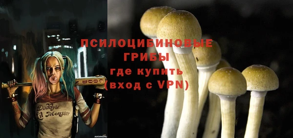 гидропоника Бронницы