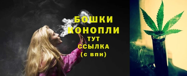 гидропоника Бронницы