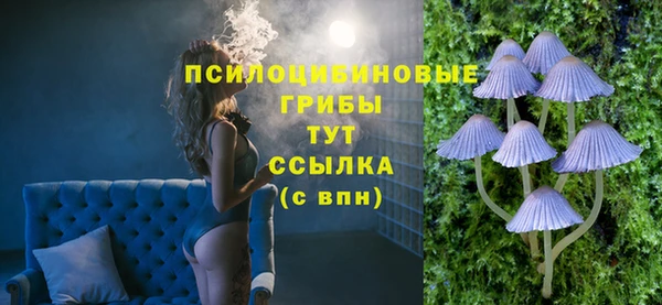 spice Бородино